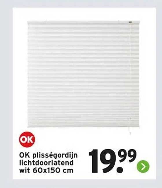 OK plisségordijn lichtdoorlatend wit 60x150 cm