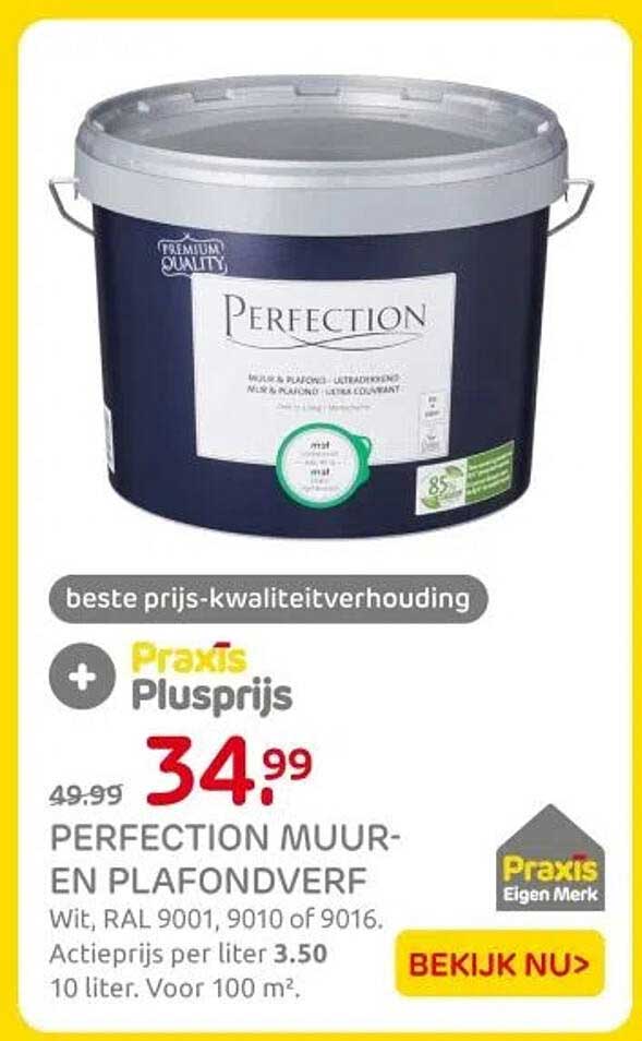 PERFECTION MUUR- EN PLAFONDVERF