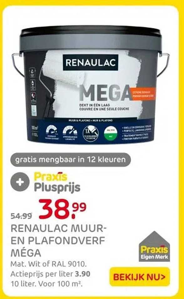 RENAULAC MUUR- EN PLAFONDVERF MÉGA
