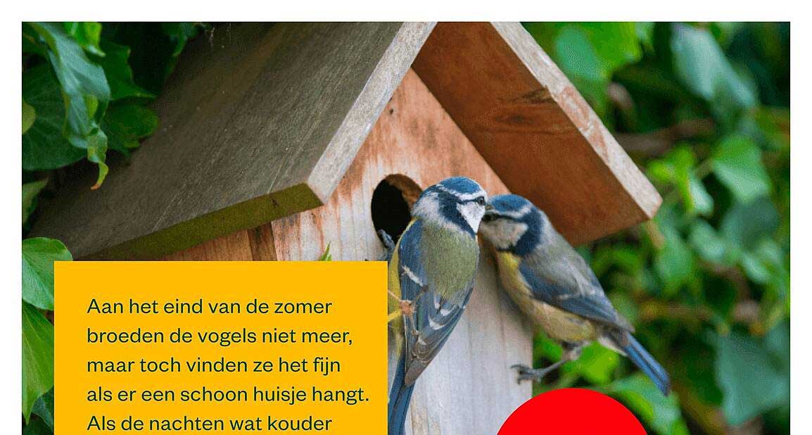 Aan het eind van de zomer broeden de vogels niet meer, maar toch vinden ze het fijn als er een schoon huisje hangt. Als de nachten wat kouder