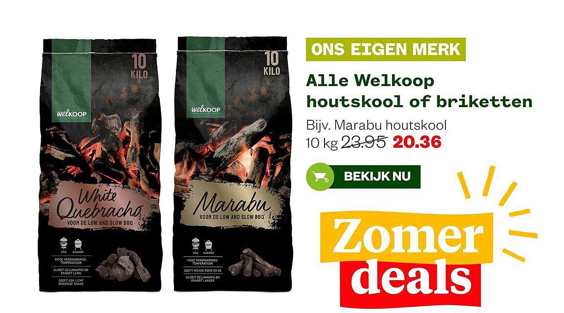 Alle Welkoop houtskool of briketten