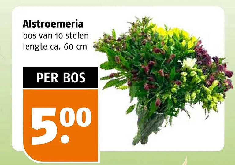 Alstroemeria bos van 10 stelen lengte ca. 60 cm PER BOS