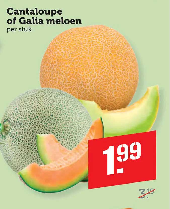 Cantaloupe of Galia meloen per stuk