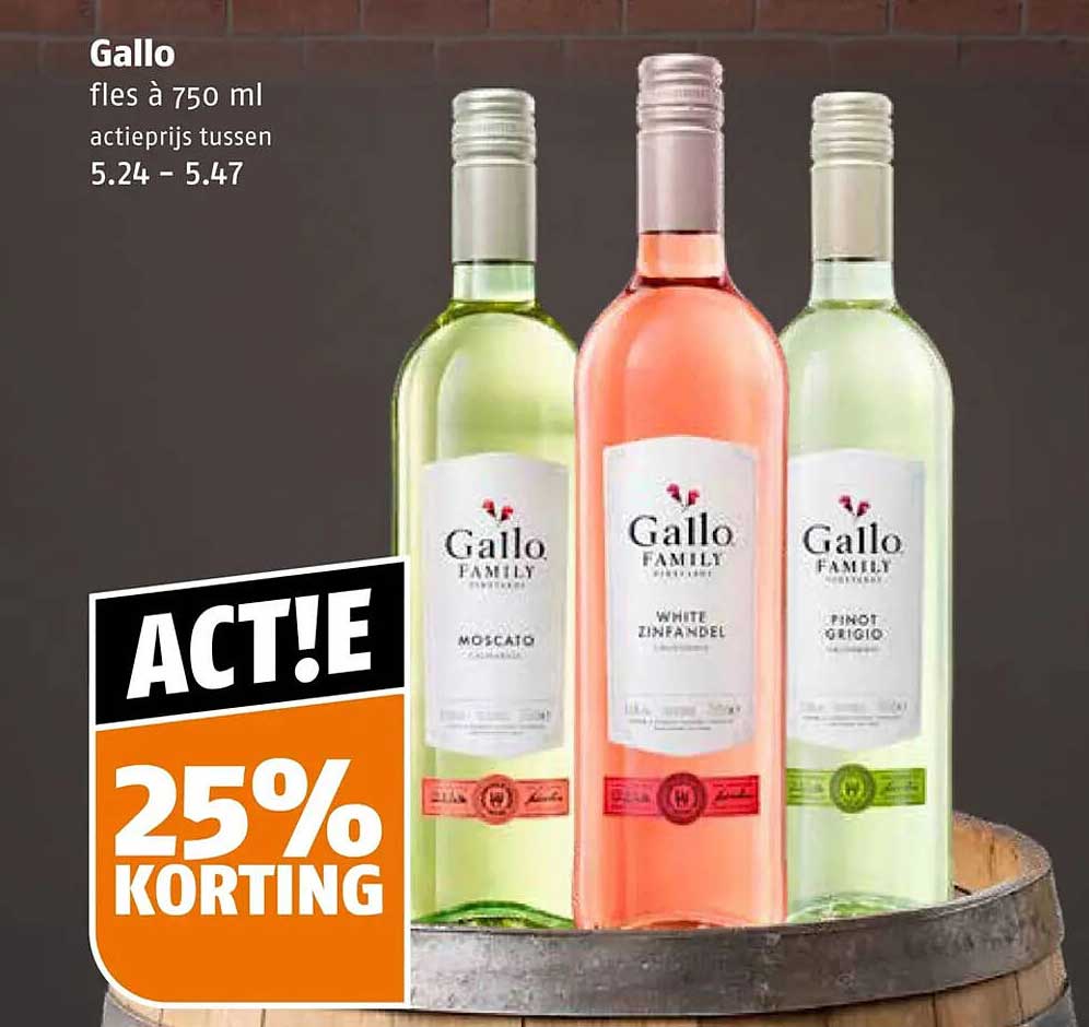 Gallo fles à 750 ml ACT!E 25% KORTING