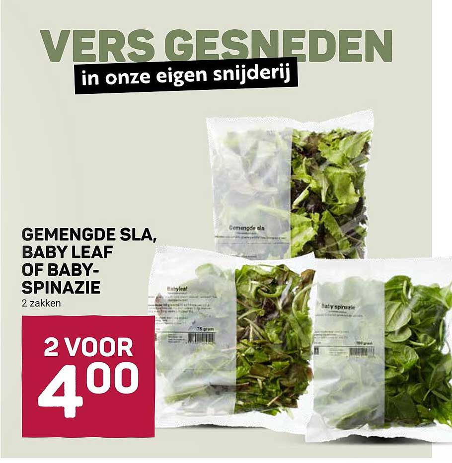 GEMENGDE SLA, BABY LEAF OF BABY-SPINAZIE