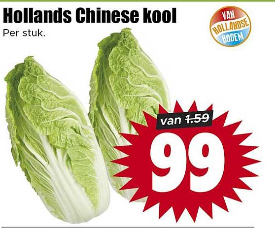 Hollands Chinese kool