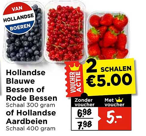 Hollandse Blauwe Bessen of Rode Bessen Schaal 300 gram of Hollandse Aardbeien Schaal 400 gram 2 schalen €5,00