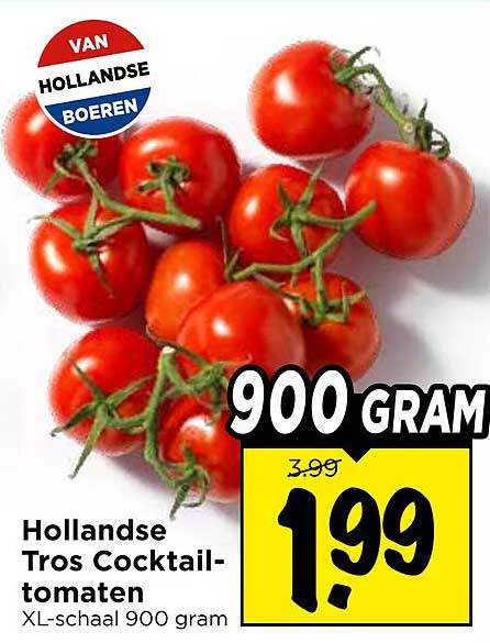 Hollandse Tros Cocktailtomaten XL-schaal 900 gram
