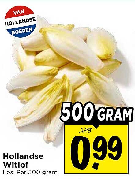 Hollandse Witlof Los. Per 500 gram