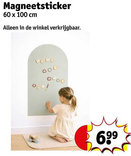 Magneetsticker 60 x 100 cm