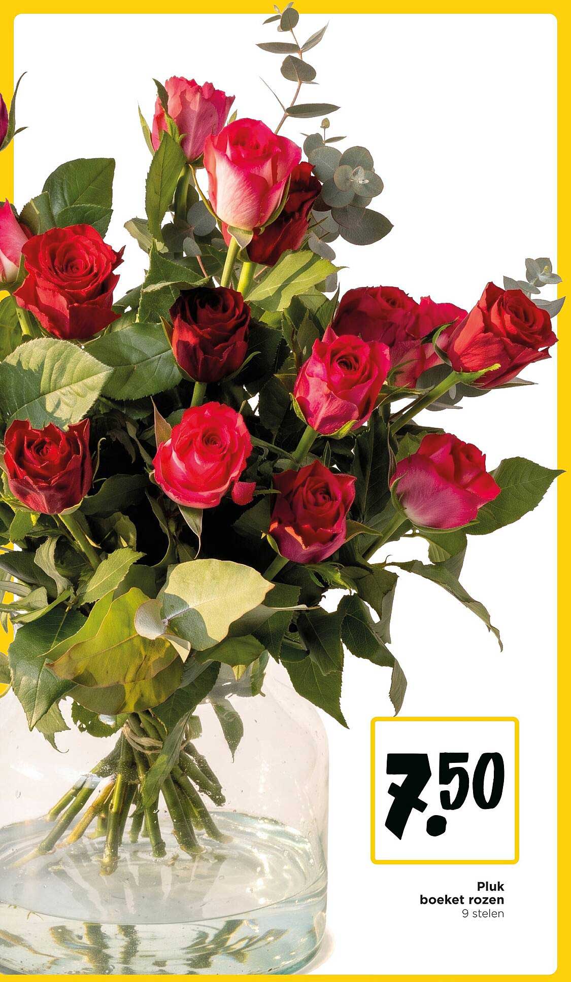Pluk boeket rozen 9 stelen
