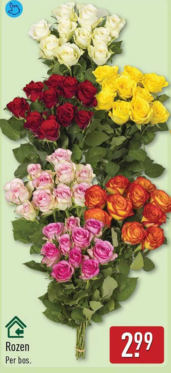 Rozen Per bos.