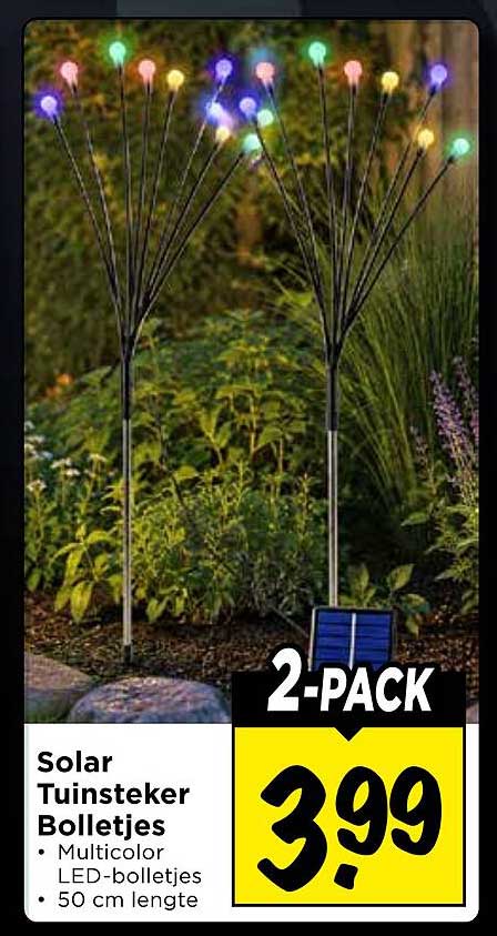 Solar Tuinsteker Bolletjes 2-PACK