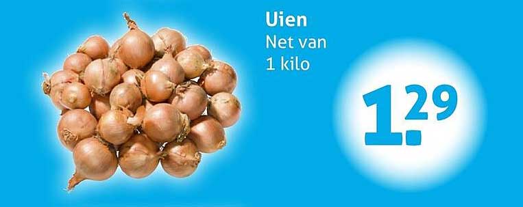 Uien Net van 1 kilo