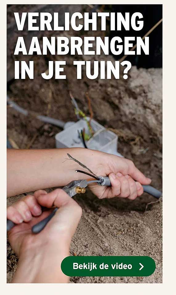 VERLICHTING AANBRENGEN IN JE TUIN?