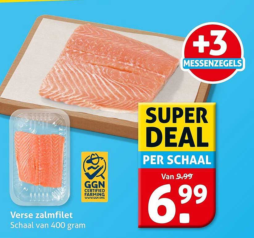 Verse zalmfilet Schaal van 400 gram