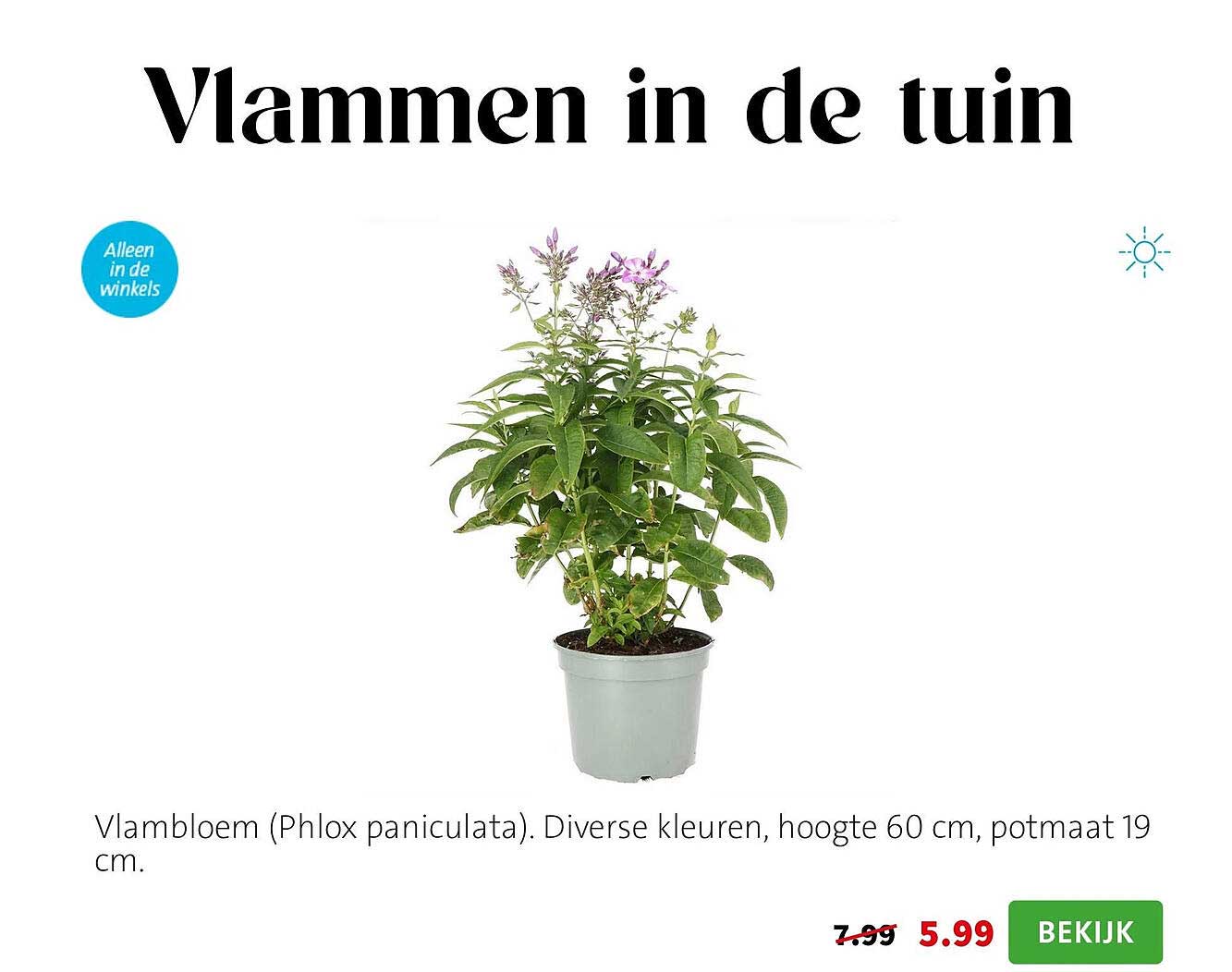 Vlammen in de tuin