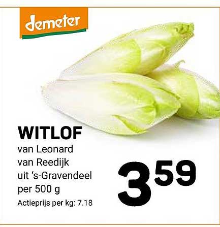 WITLOF van Leonard van Reedijk uit 's-Gravendeel per 500 g