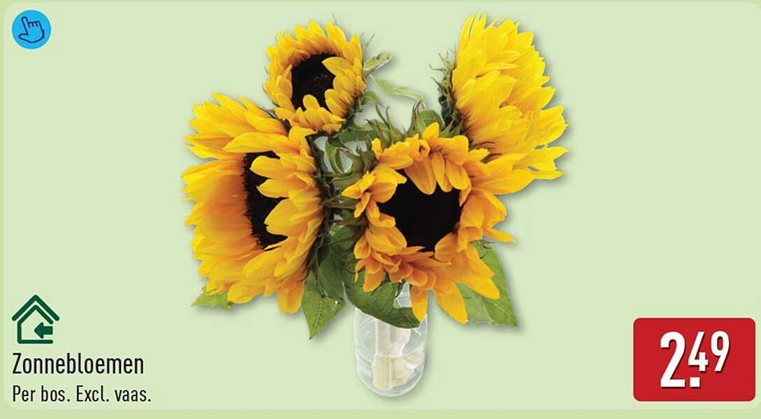 Zonnebloemen