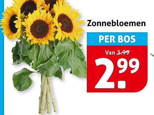 Zonnebloemen PER BOS