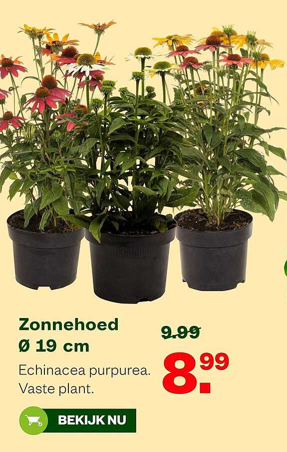 Zonnehoed Ø 19 cm