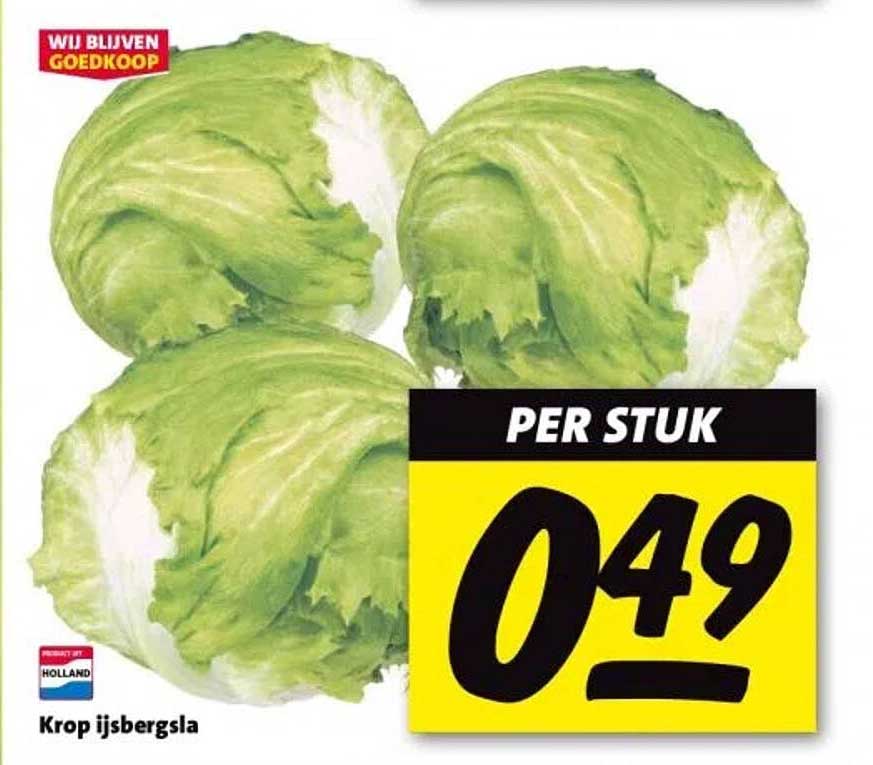 Krop ijsbergsla