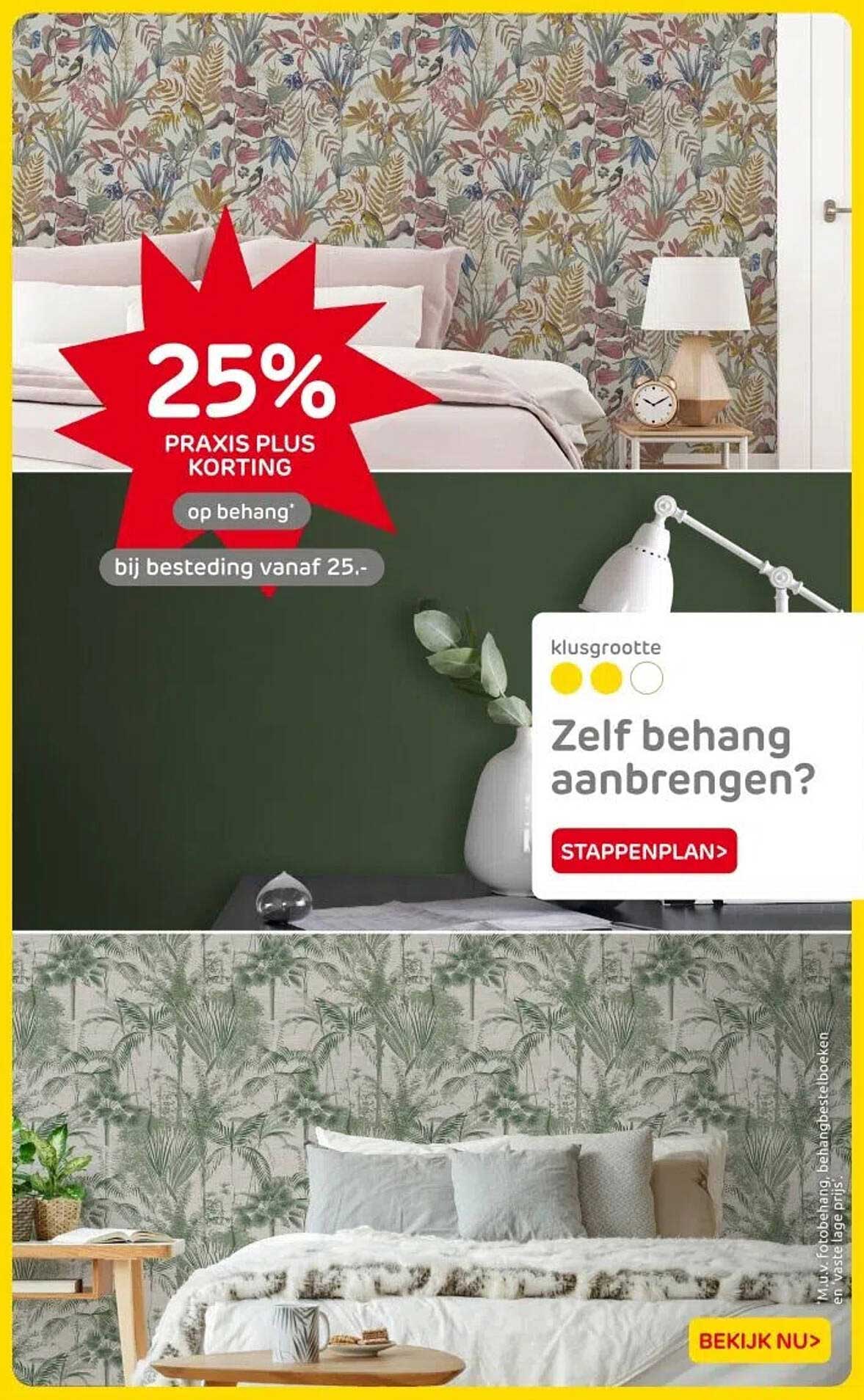 25% PRAXIS PLUS KORTING op behang bij besteding vanaf 25.-