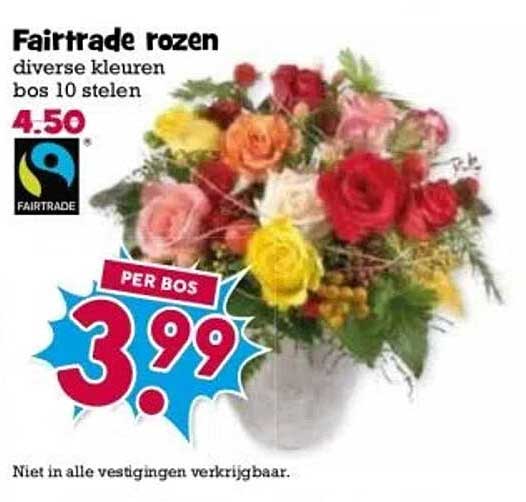 Fairtrade rozen diverse kleuren bos 10 stelen