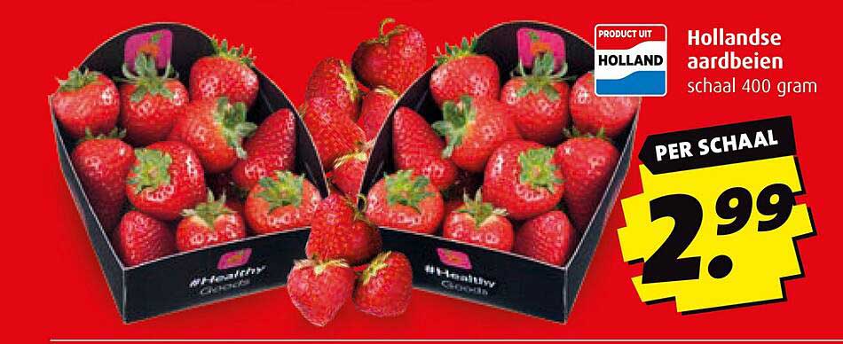Hollandse aardbeien schaal 400 gram