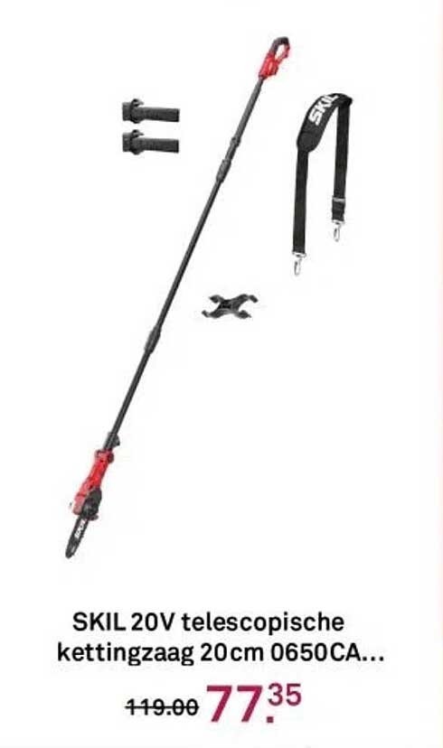 SKIL 20V telescopische kettingzaag 20cm 0650CA...