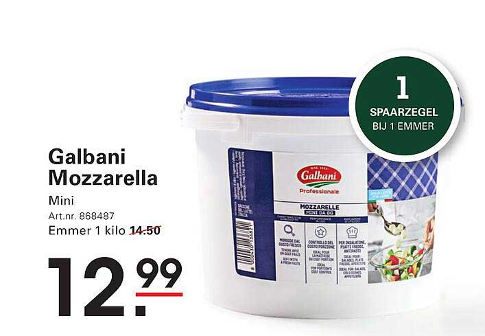 Galbani Mozzarella Mini