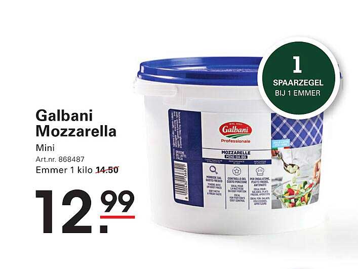 Galbani Mozzarella Mini