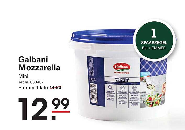 Galbani Mozzarella Mini