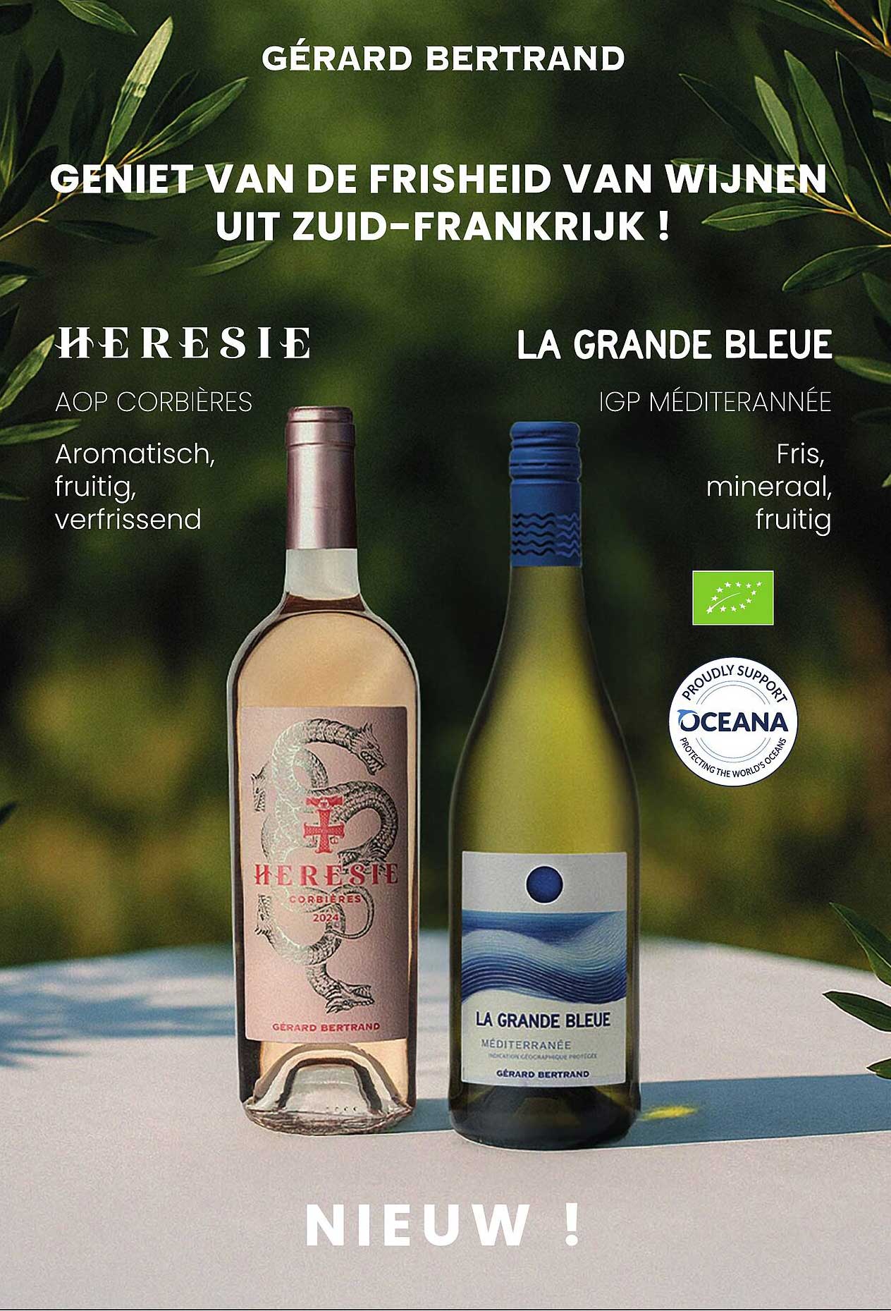 Geniet van de frisheid van wijnen uit Zuid-Frankrijk!