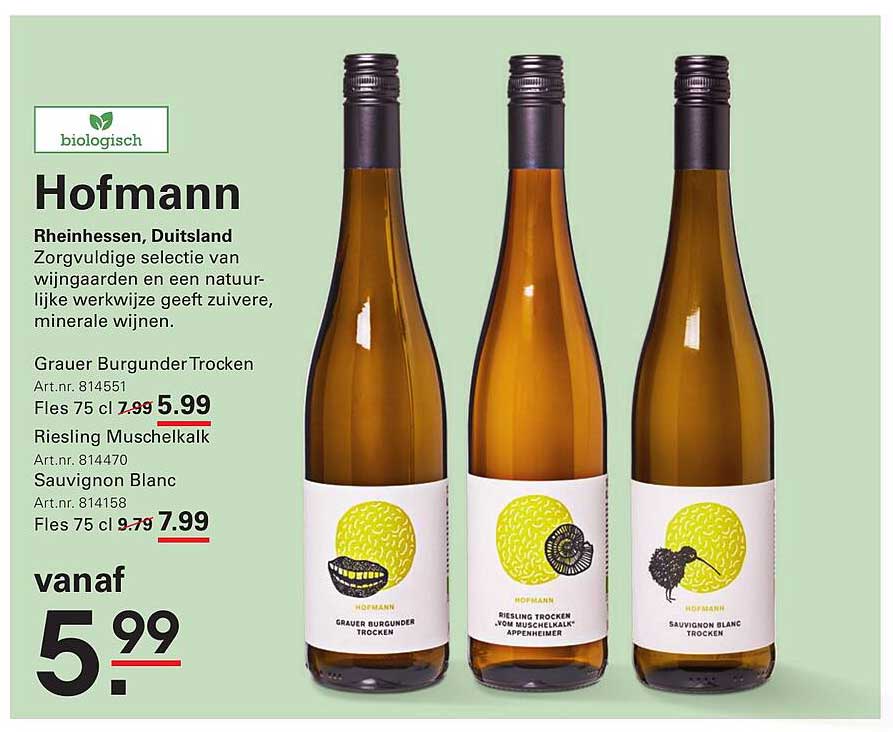 Hofmann Wijnen