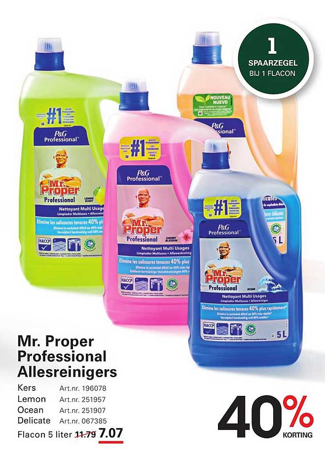 Mr. Proper Professional Allesreiniger