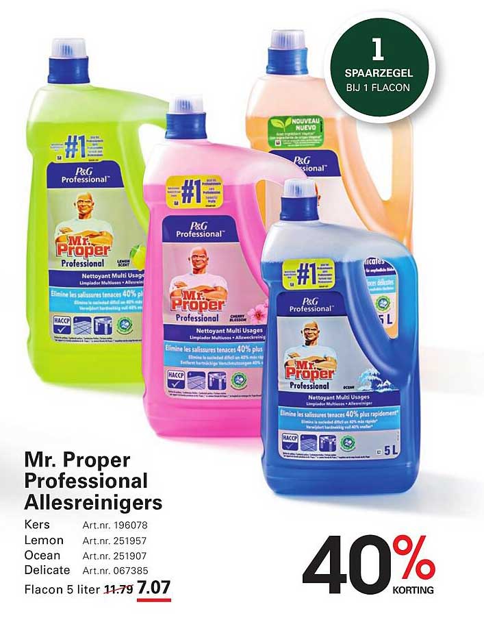 Mr. Proper Professional Allesreiniger