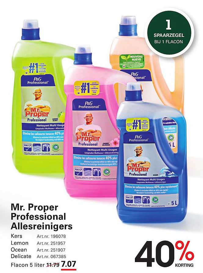 Mr. Proper Professional Allesreinigers