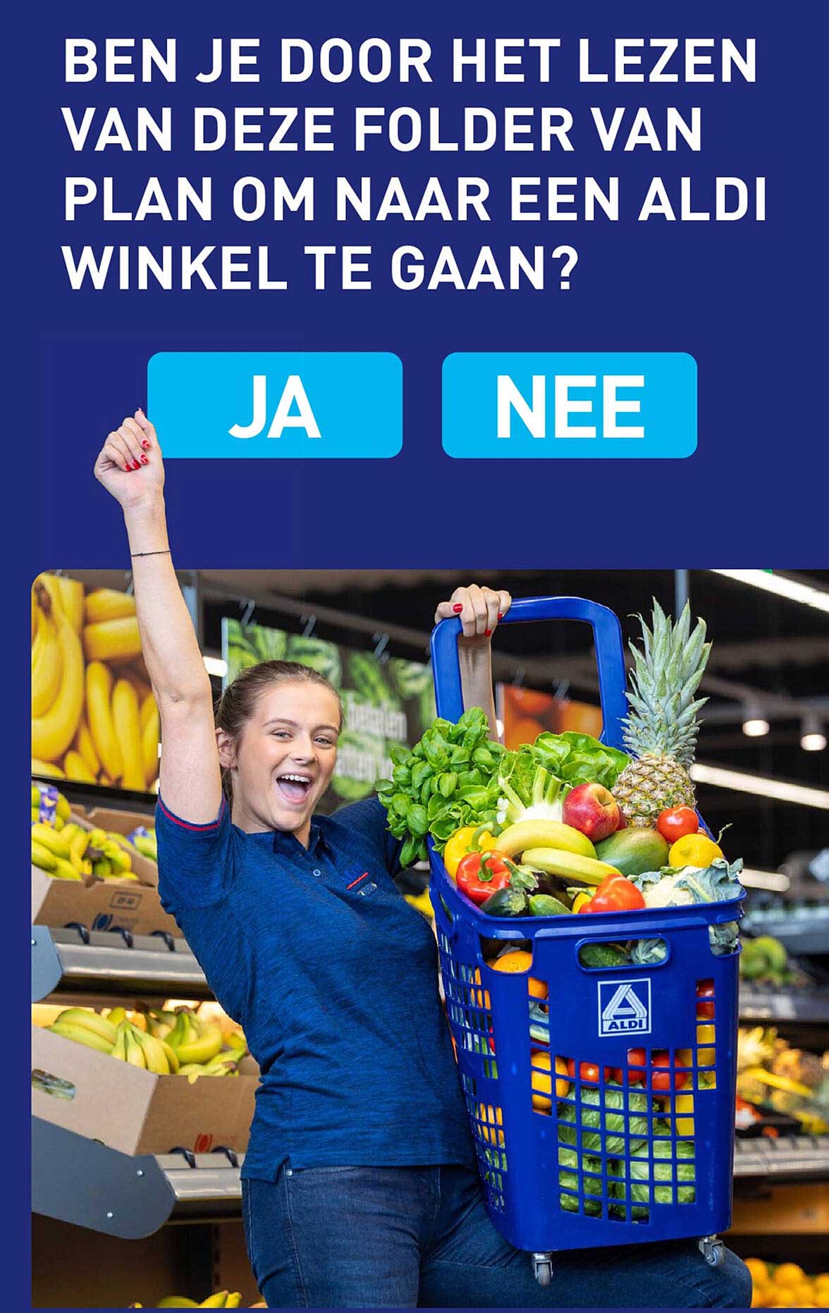 BEN JE DOOR HET LEZEN VAN DEZE FOLDER VAN PLAN OM NAAR EEN ALDI WINKEL TE GAAN?