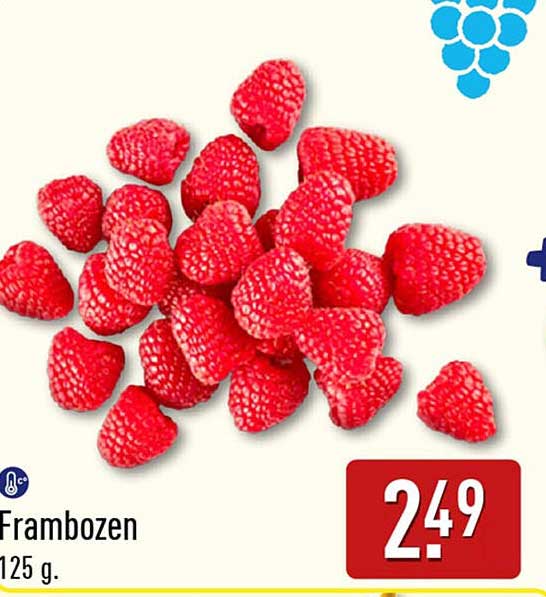 Frambozen