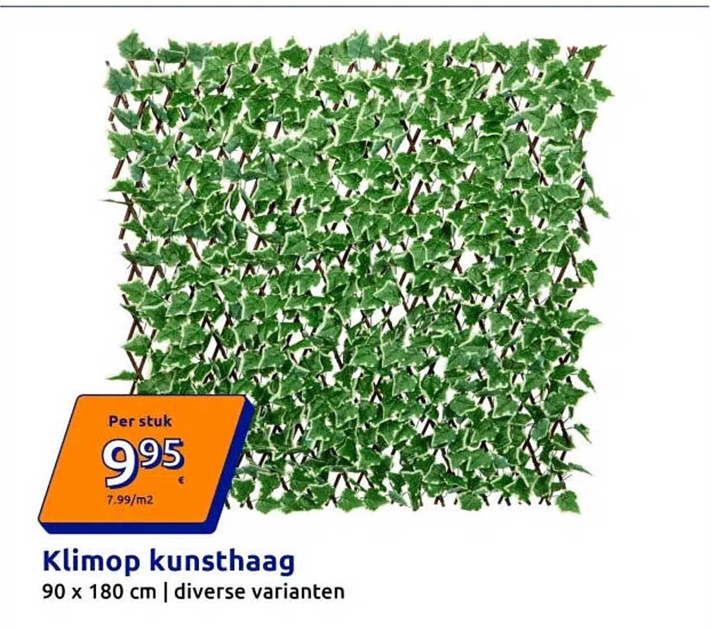 Klimop kunsthaag