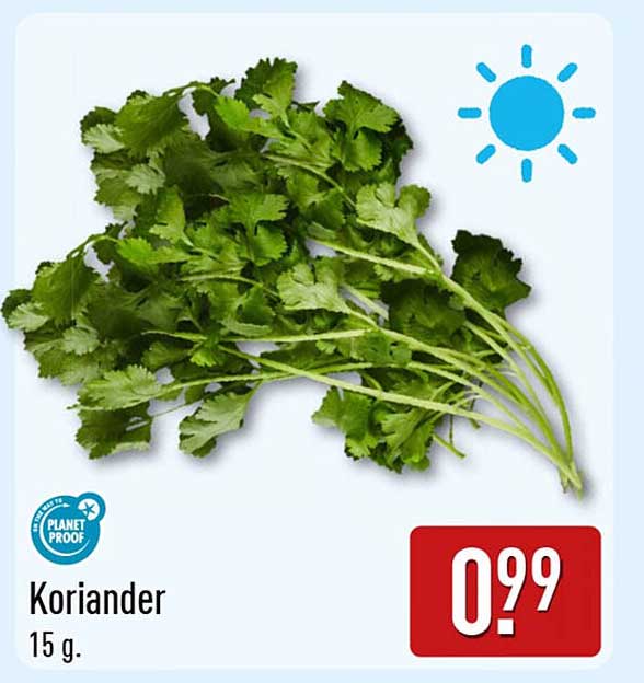 Koriander
