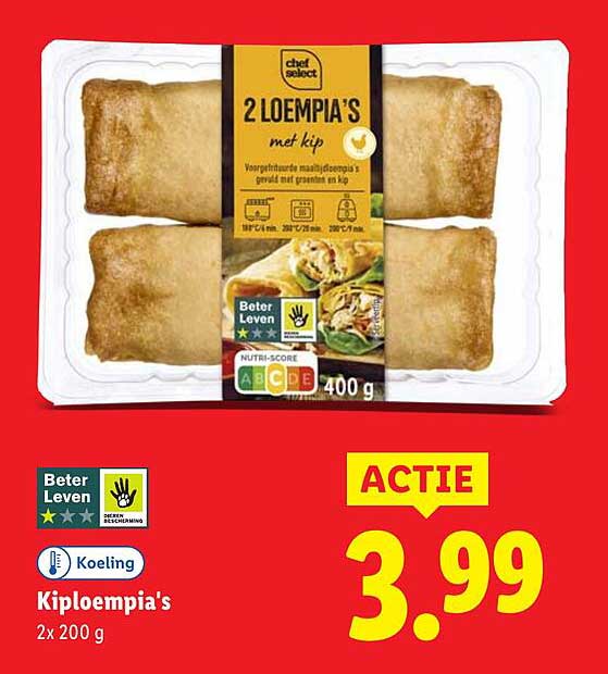 2 Loempia's met kip