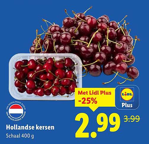 Hollandse kersen