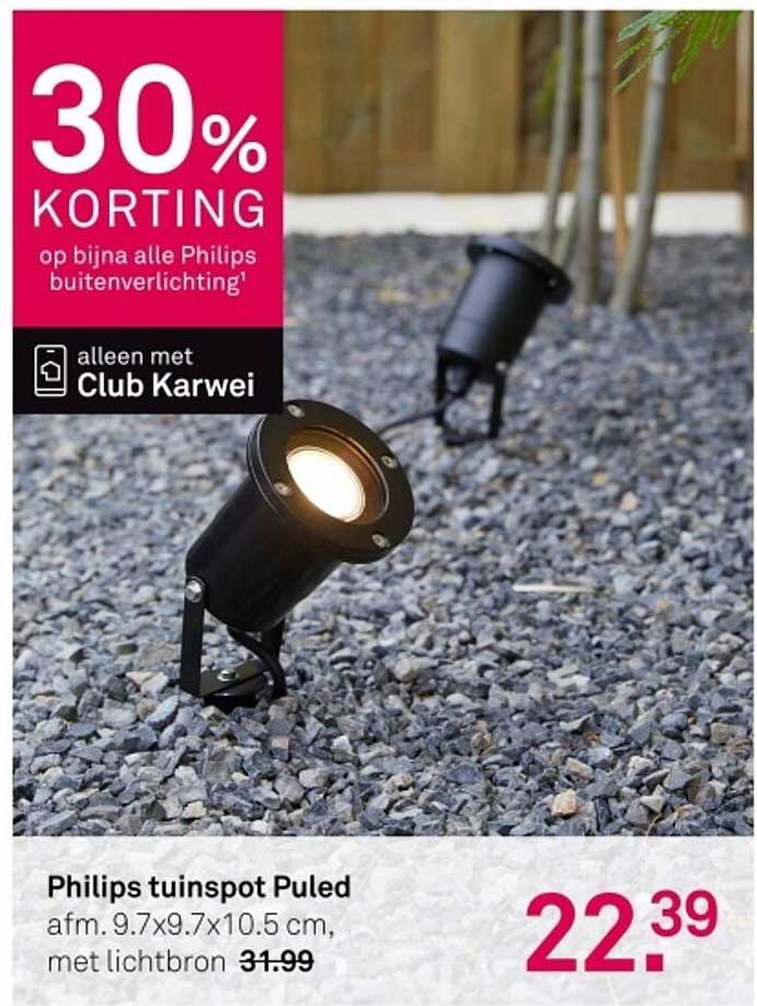 Philips tuinspot Puled