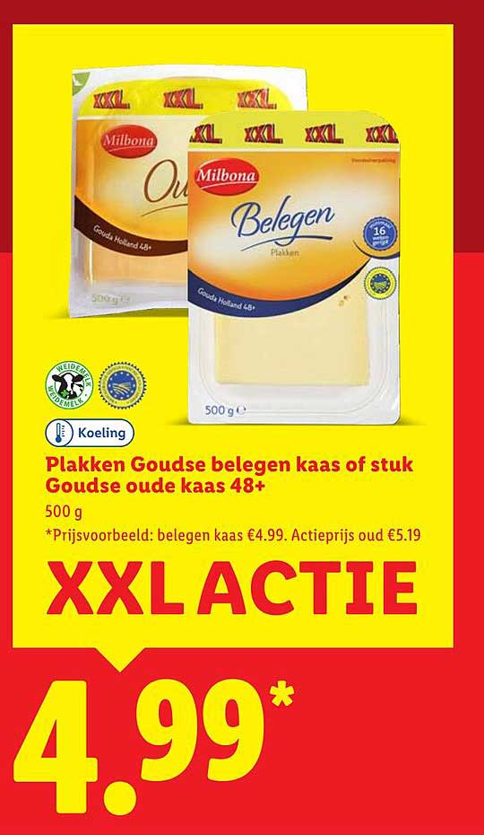 Plakken Goudse belegen kaas of stuk Goudse oude kaas 48+