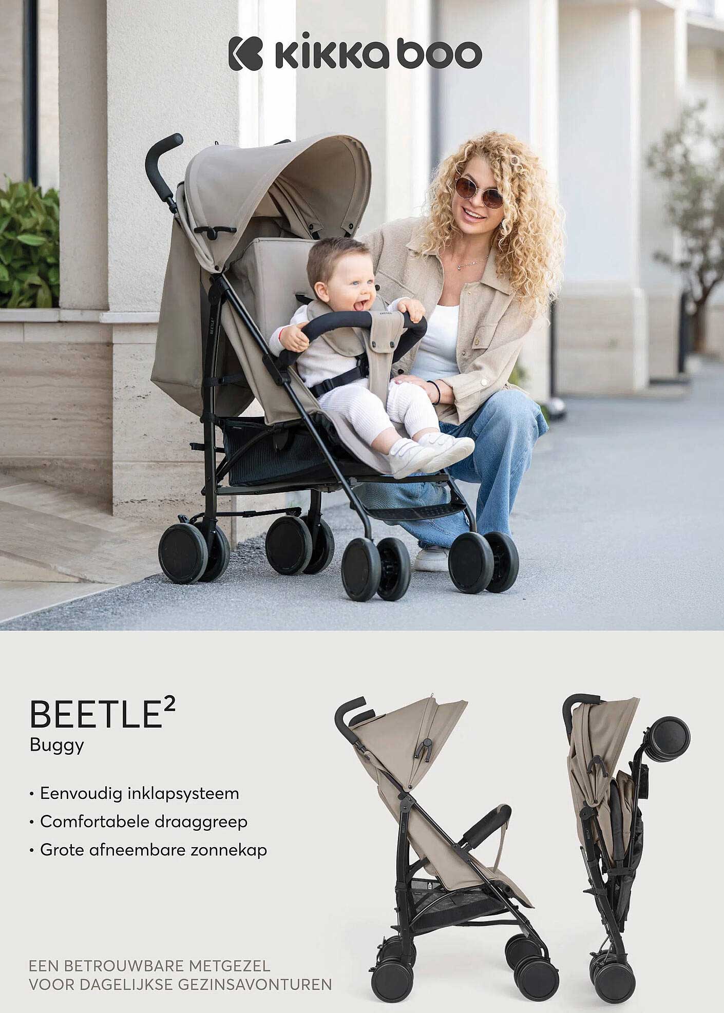 BEETLE² Buggy