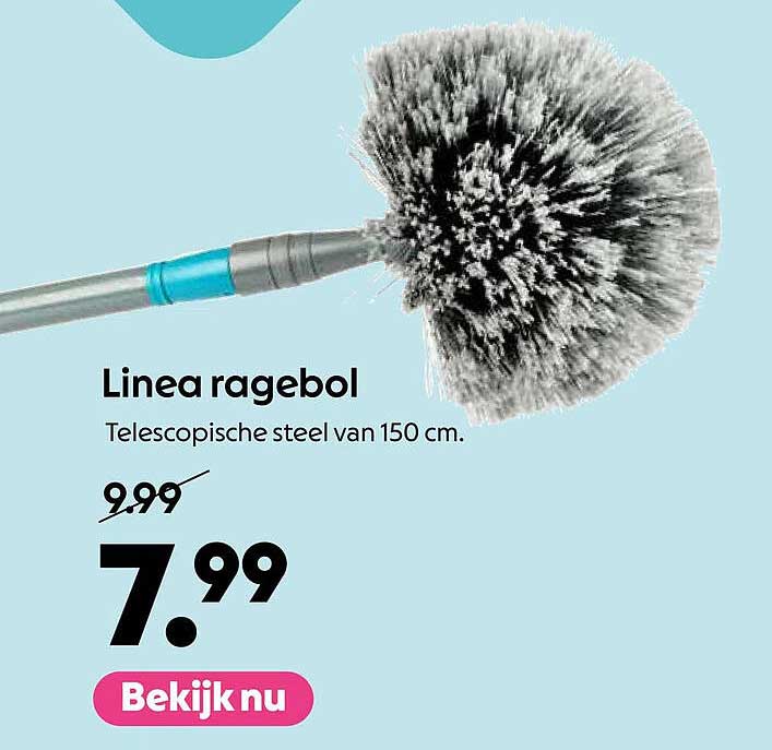 Linea ragebol
