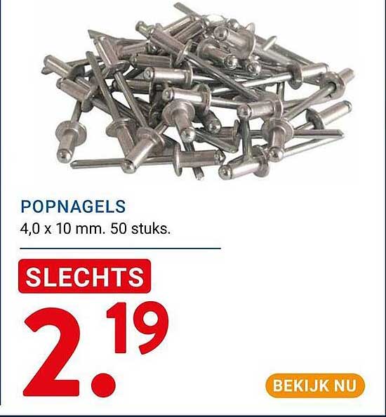 POPNAGELS 4,0 x 10 mm. 50 stuks.