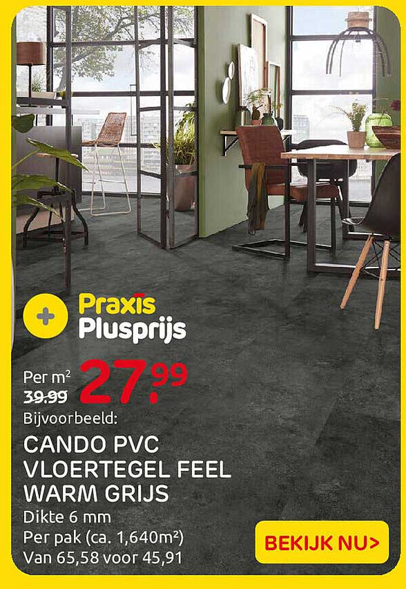 Praxis Plusprijs